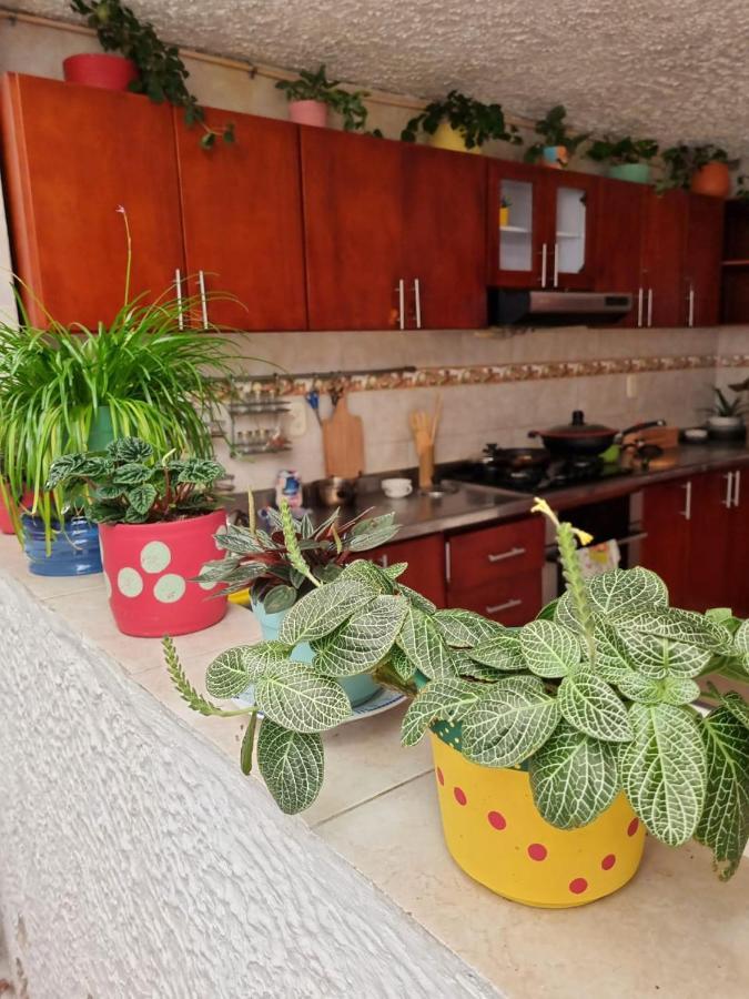 Tatami Hostel Букараманґа Екстер'єр фото