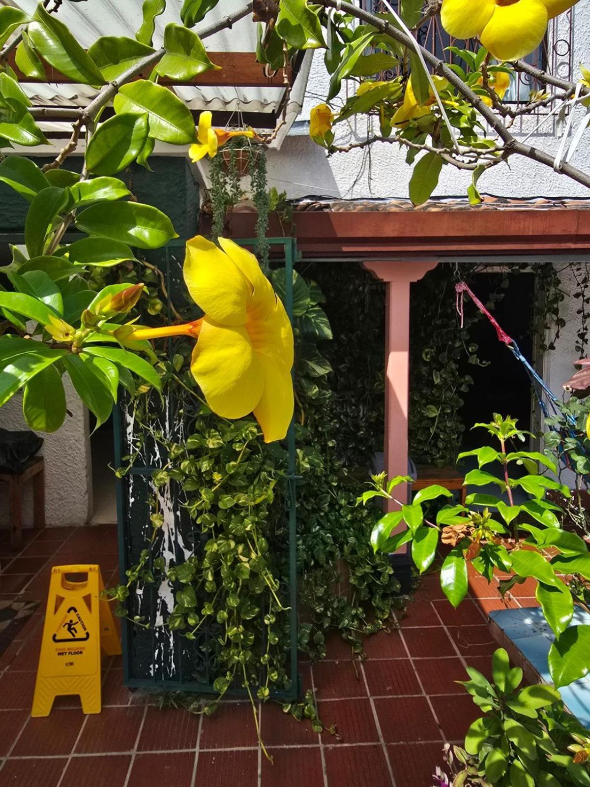 Tatami Hostel Букараманґа Екстер'єр фото